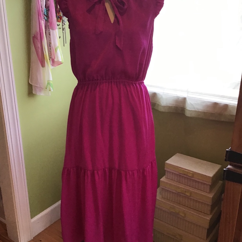 Banana Republic fuchsia midi dress size 10